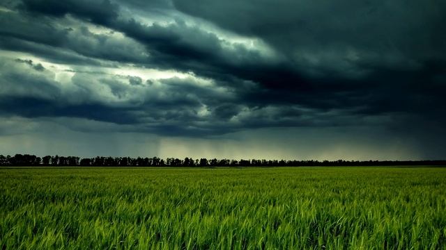 Крайон. Медитация - "Возлюбить врага" смотреть онлайн