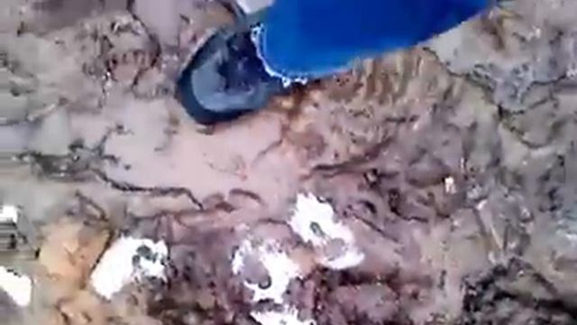 село Ромашково. Переход через балку под мостом. смотреть онлайн