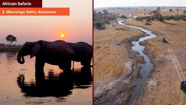 African Safaris: Beyond the Ordinary смотреть онлайн