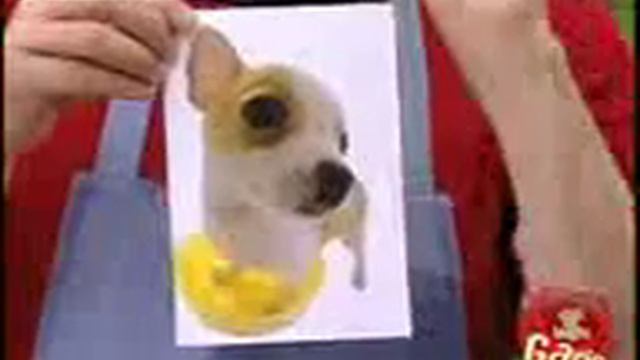 Розыгрыш с горячей собакой смотреть онлайн