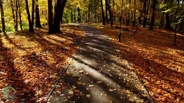 Peaceful Instrumental Music - Relaxing Piano Music For Sleep & Study 1 Hour ⭐️120