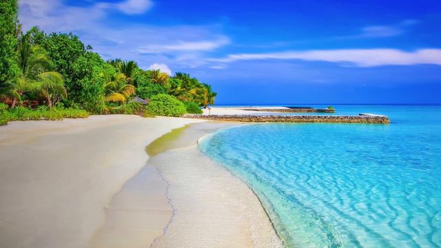 "5 More (not so easy) Dances" for Wind Quintet, by Russ Peterson смотреть онлайн