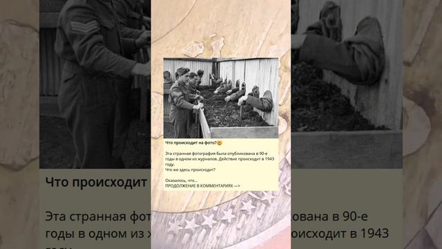 Что происходит на фото?🤯 смотреть онлайн