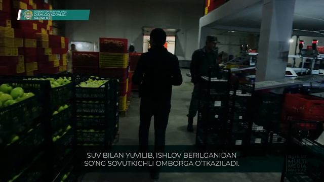 Холодильные камеры – современный метод хранения фруктов и овощей смотреть онлайн