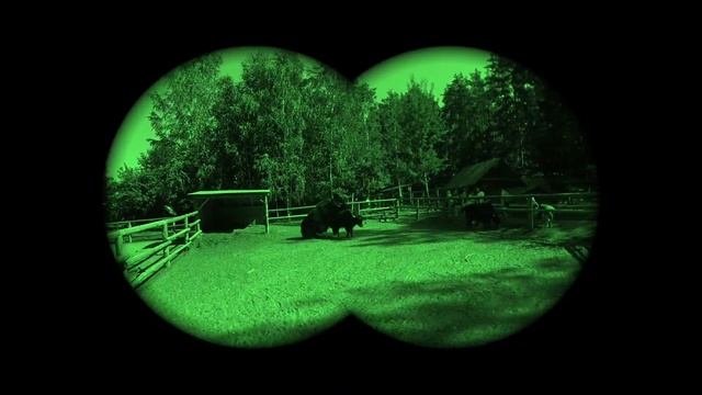 ЗООград - Пушкинские Горы смотреть онлайн