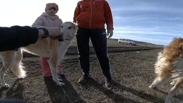 УИППЕТ. СОЦИАЛИЗАЦИЯ. смотреть онлайн