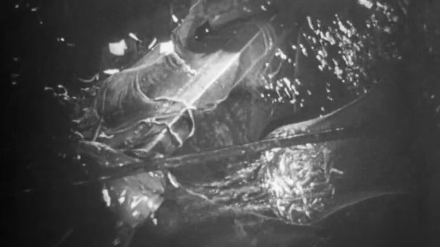 Курильские острова, 1966. смотреть онлайн