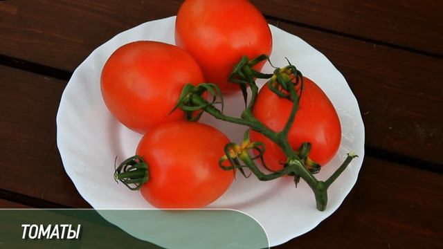 Суповарка Breelon: осенний суп-пюре