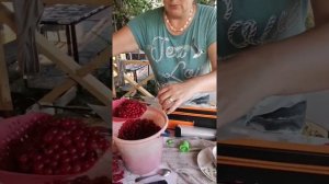 Вакууматор SX-168