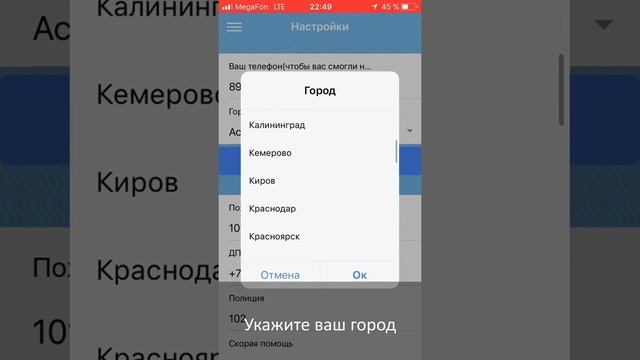 Мобильное приложение 