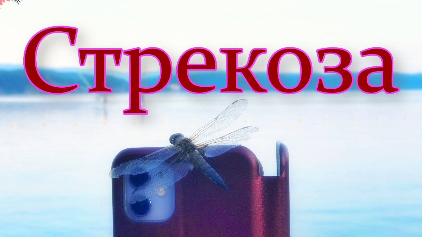 Любопытная стрекоза смотреть онлайн