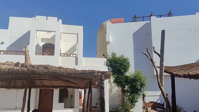 Неожиданный Египет. SHARM INN AMAREIN 4*. Ночевка за 20$. Что понравилось? Таксисты-артисты смотреть онлайн