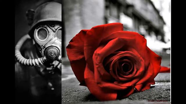 Roger Waters - Smell The Roses