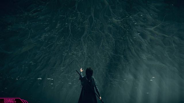 Demon's Souls All Maiden In Black Scenes смотреть онлайн