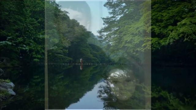 6 Поиск истины в ценности человеческой жизни смотреть онлайн