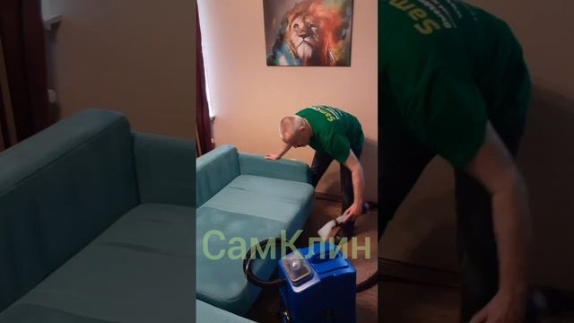 Химчистка дивана из флока в округе Звёздное смотреть онлайн