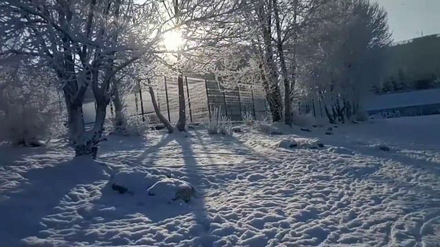 по берегу реки Волги 6 декабря смотреть онлайн