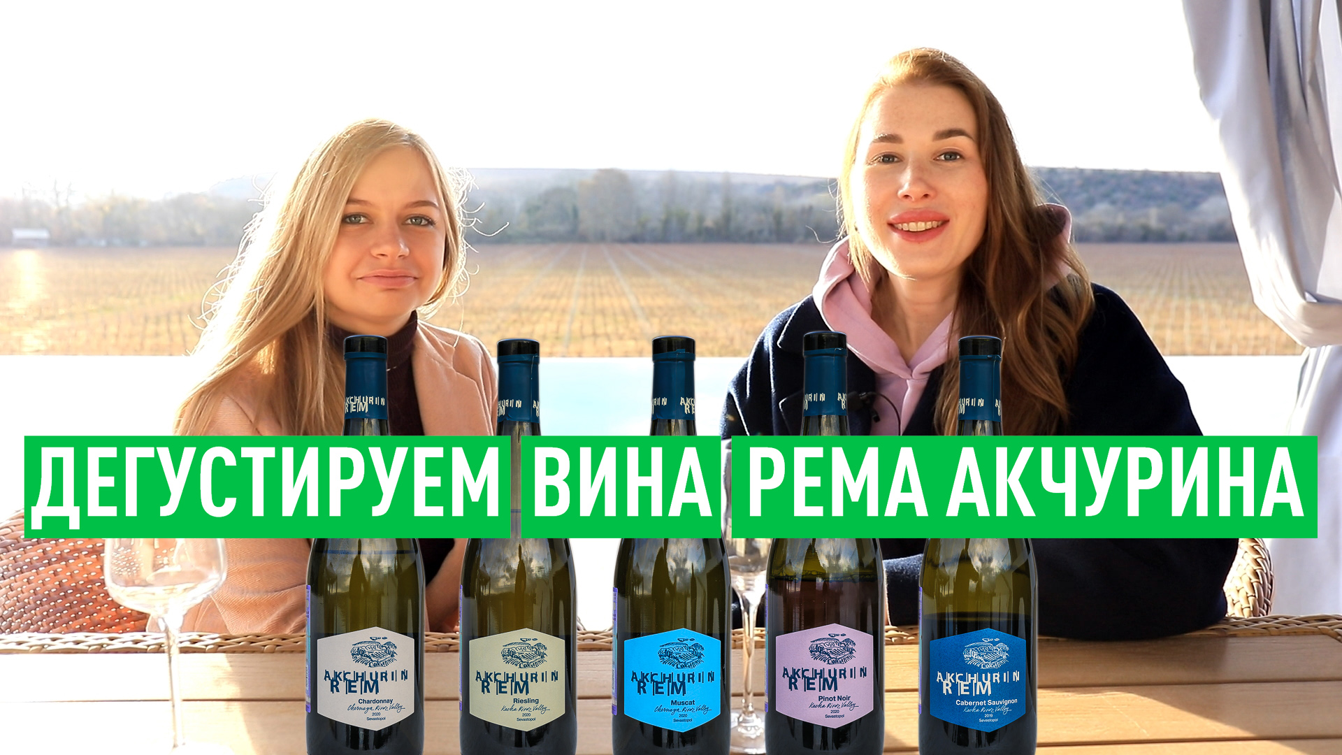 Пробуем и обсуждаем вина от Рема Акчурина смотреть онлайн