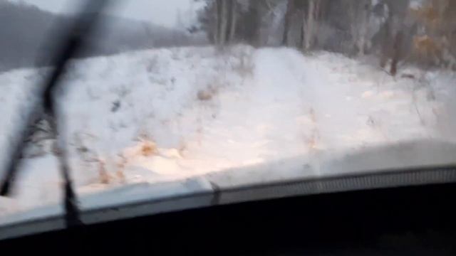 Как едет Нива на зимней резине по снегу 19 ноября 2022 г. смотреть онлайн
