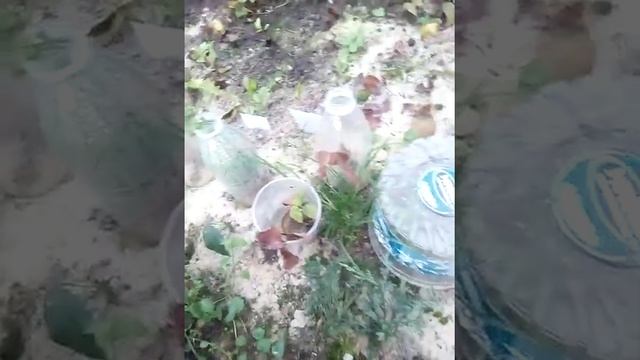Дайте мне по рукам-говорю своим близким,когда открываю череночник смотреть онлайн