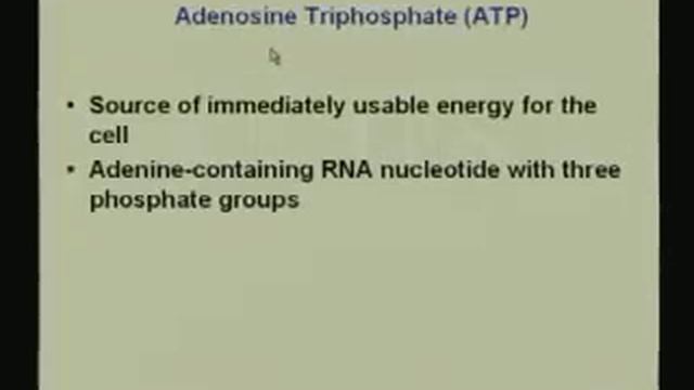 Lecture - 18 Vitamins and Coenzymes 1 смотреть онлайн