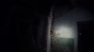 Зря я остался здесь на ночь. Жуткие звуки в подземелье. Заброшенное поместье с призраками