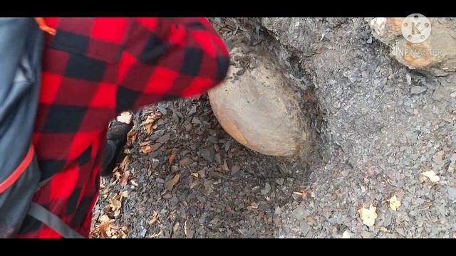 Неизвестные камни круглой формы в сланце смотреть онлайн