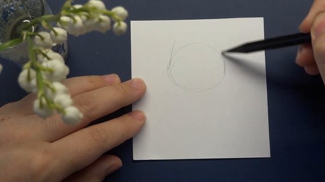 Как рисовать котика / Топ 5 рисунков котов / Рисунки поэтапно