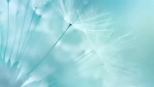 Расслабляющая фортепианная музыка: красивая музыка для медитации, успокаивающая музыка для сна, уче смотреть онлайн