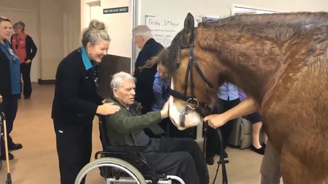 A visit from the Clydesdale Horses смотреть онлайн