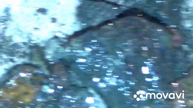 Думал чио поднял конгломерат а оказалось рудное тело под ногами ! смотреть онлайн