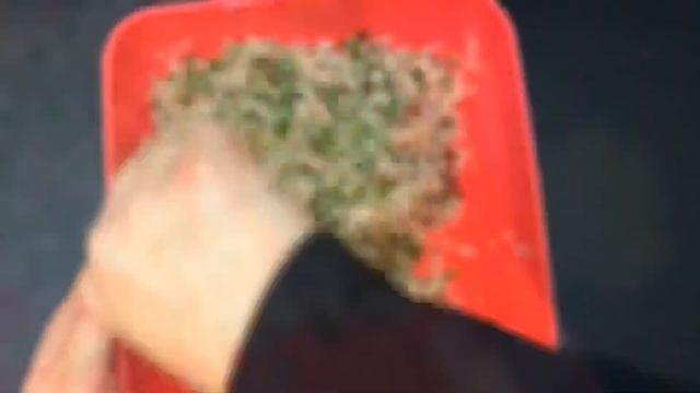 يالنجي على  الطريقة الشامية | ورق عنب | يبرق الطعم  الشامي الاصيل #يالنجي #ورق_عنب #يبرق