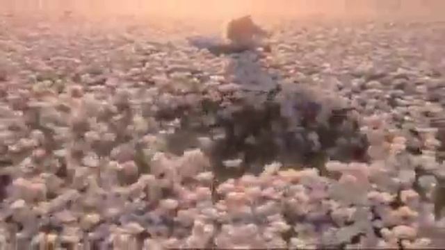 Flora Gucci смотреть онлайн