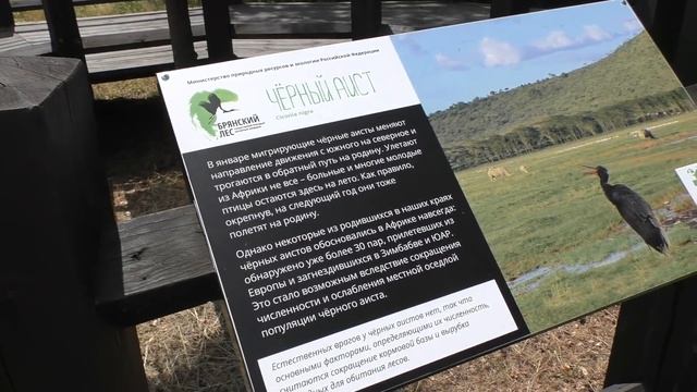 ПУТЕШЕСТВИЕ по БРЯНСКОЙ обл. с прицепом. смотреть онлайн