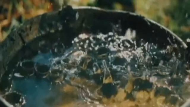 SENSUALITE ÂME FLAMENCA 16 9 смотреть онлайн