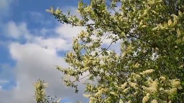 Строительный Фокус