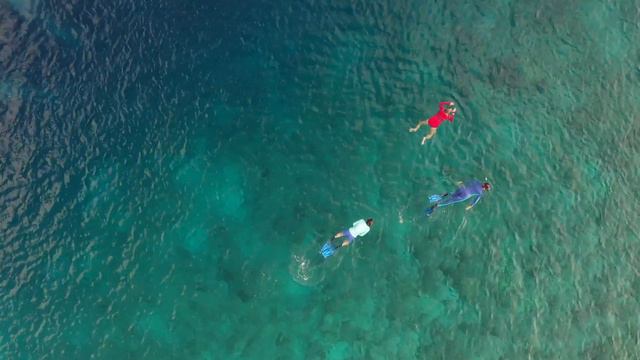 Как мы сбежали на Мальдивы и ушли под воду в ноябре 2020 года. Часть 2 смотреть онлайн