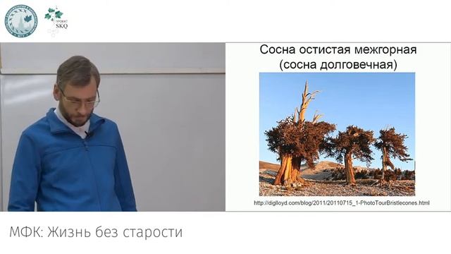 МФК: Жизнь без старости. Лекция 7 смотреть онлайн
