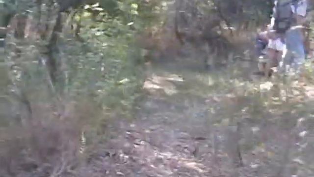 Золотые Горки'2007 смотреть онлайн