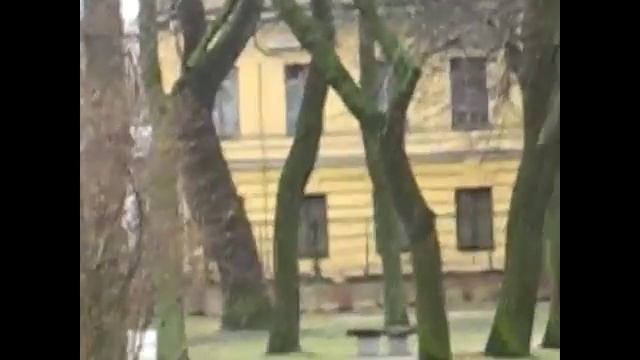 Обзор и тест фотокамеы CANON PowerShot A700 смотреть онлайн