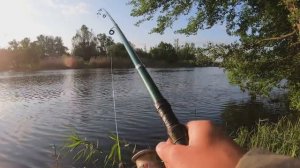 РЫБАЛКА на СОМА в АВГУСТЕ...  СОМ БУДЕТ КЛЕВАТЬ, ЕСЛИ ЛОВИТЬ с БЕРЕГА на ВЫПОЛЗКА