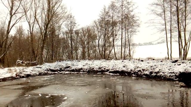 Копаем пруд на даче, для разведения Толстолобика 2 часть. смотреть онлайн