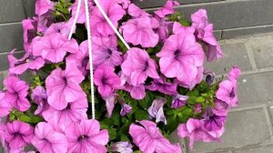 По разным берегам 1 - 16 серии | Мелодрама 2021