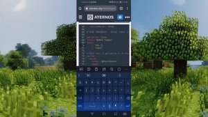 КАК СДЕЛАТЬ СТАТИСТИКУ НА СЕРВЕРЕ ATERNOS? /// МАЙНКРАФТ ПЕ