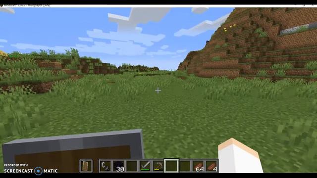 1.16.5 GAME MODE KILLING AND SURVING смотреть онлайн