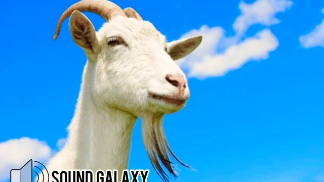 GOAT SOUND ЗВУК КОЗЛА смотреть онлайн