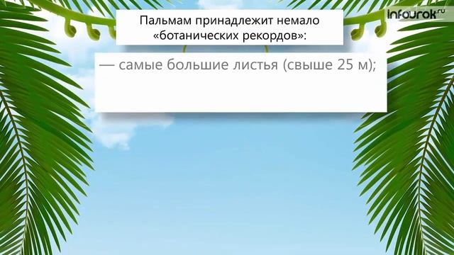 Разнообразие, распространение, значение растений. смотреть онлайн