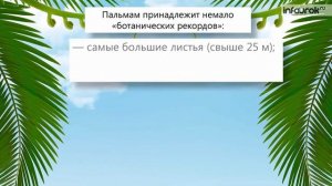 Разнообразие, распространение, значение растений.