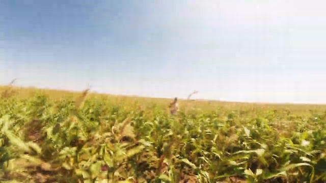 МОРЕ БЕЗ ДЕНЕГ X VLOG#4 смотреть онлайн