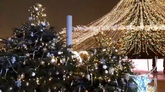 Большой Московский государственный цирк на проспекте Вернадского. 04.01.2023 года. смотреть онлайн